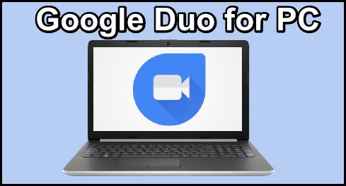 google duo for pc on windows 10